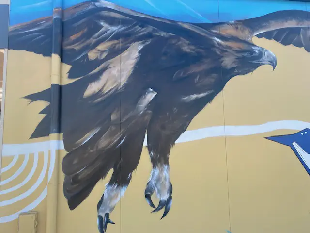 Wuldi eagle Jarrod
